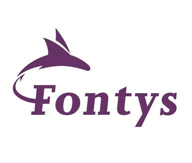 Logo of Fontys University
